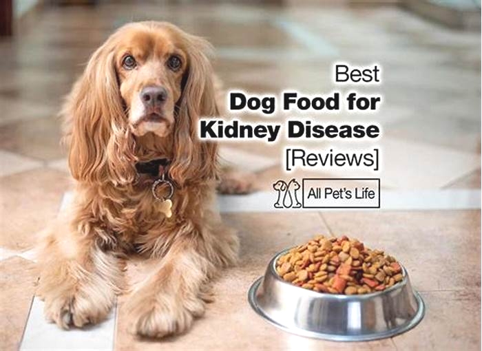 best diet for a dog with kidney disease