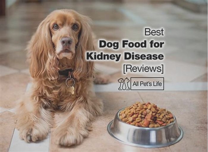 best diet for a dog with kidney failure