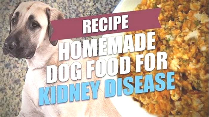 best diet for dogs in kidney failure