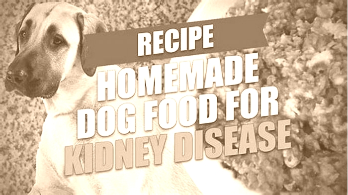 best homemade kidney diet for dogs