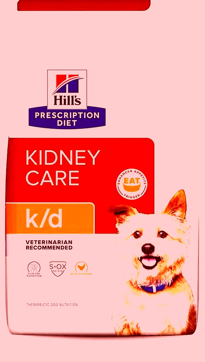 best kidney disease food for dogs