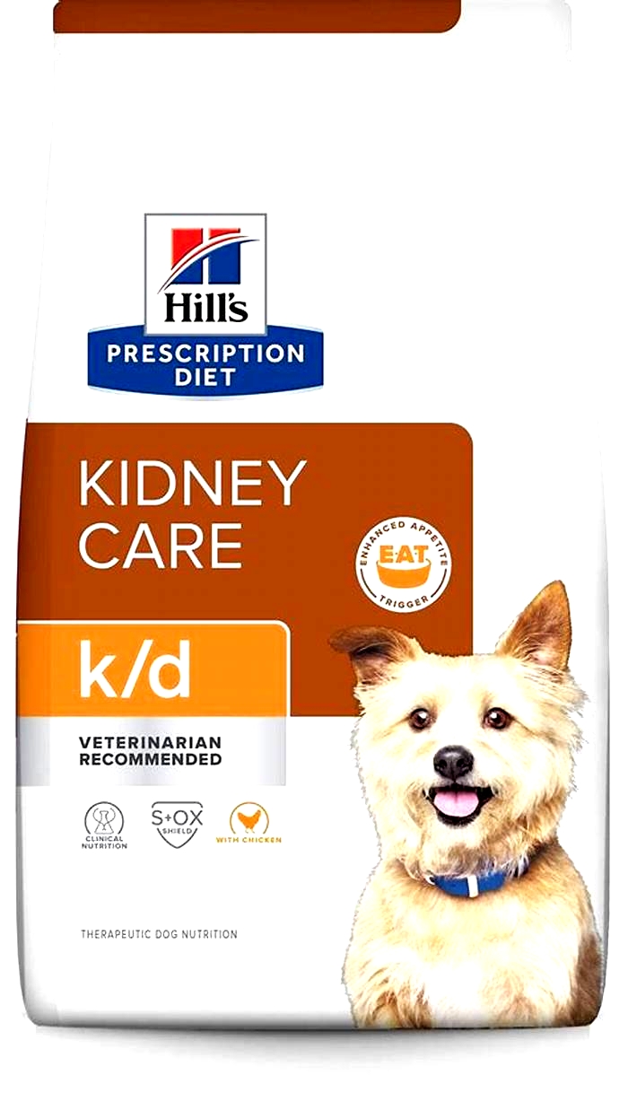 best prescription kidney food for dogs