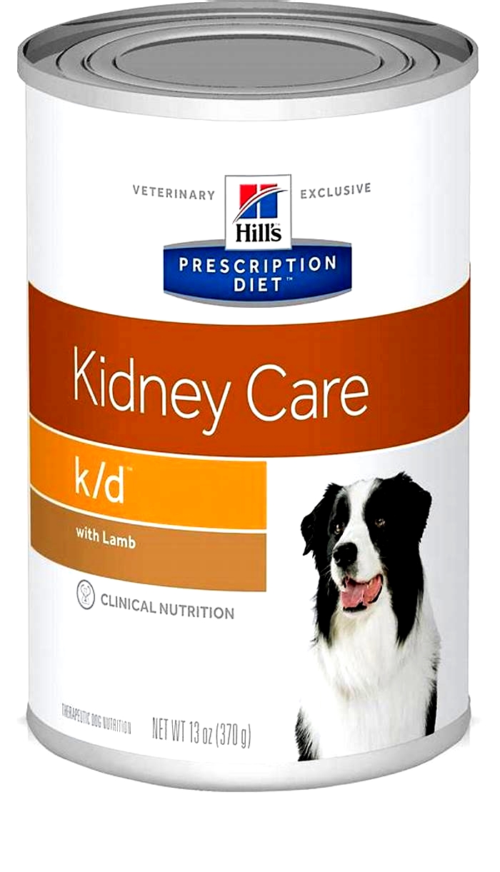 best renal diet for dogs uk