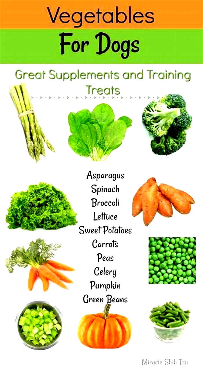 best vegetables for kidney disease in dogs