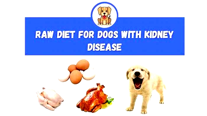 can raw diet cause kidney problems in dogs