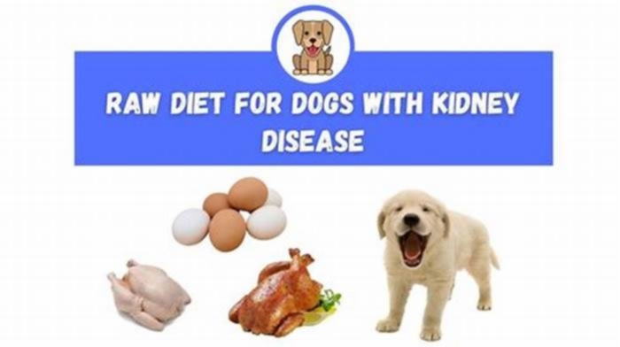 diet for dogs with early kidney disease