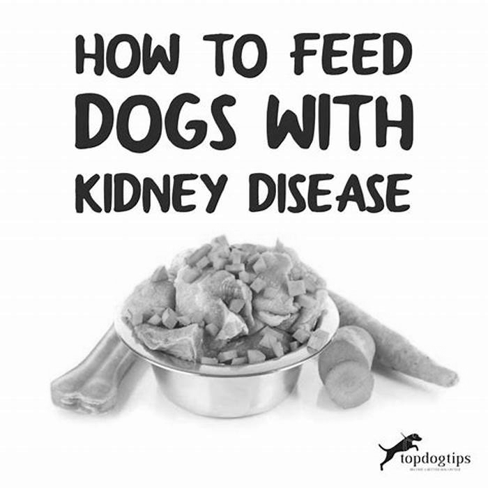 diet for dogs with high kidney levels