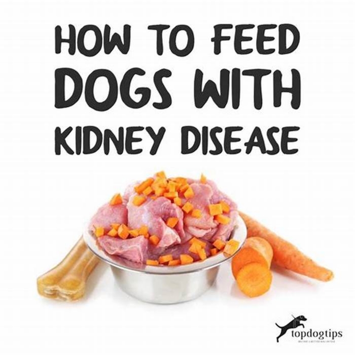 diet for dogs with kidney disease