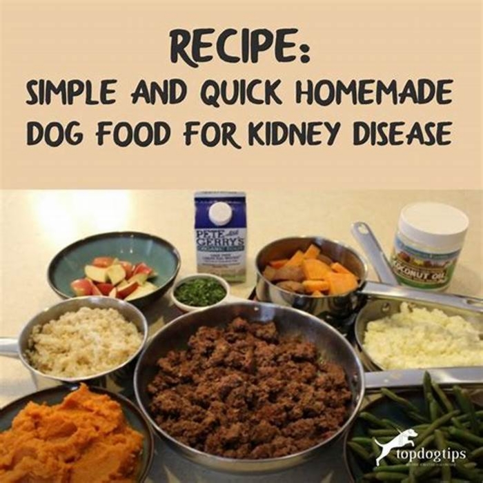 diy kidney diet for dogs