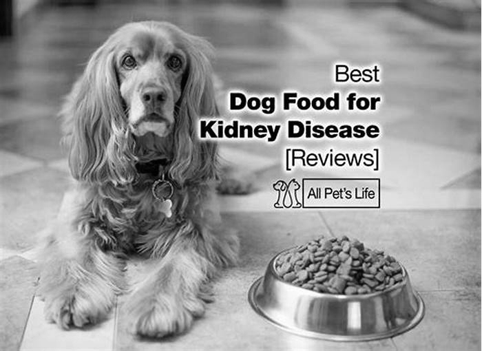 dog diet for kidney health