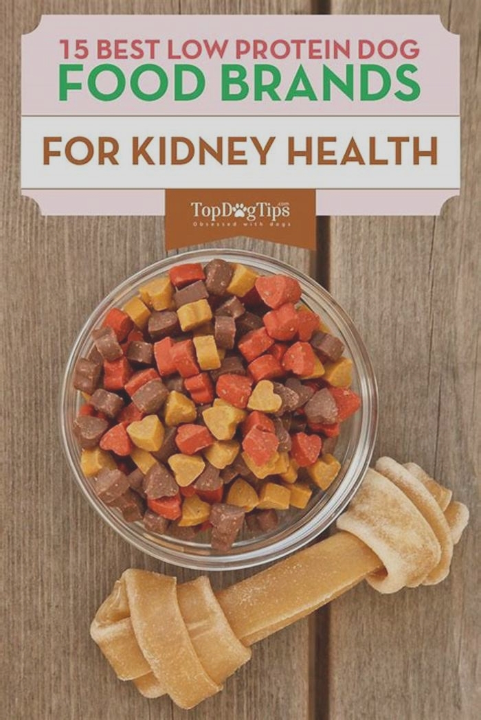 dog food good for kidneys