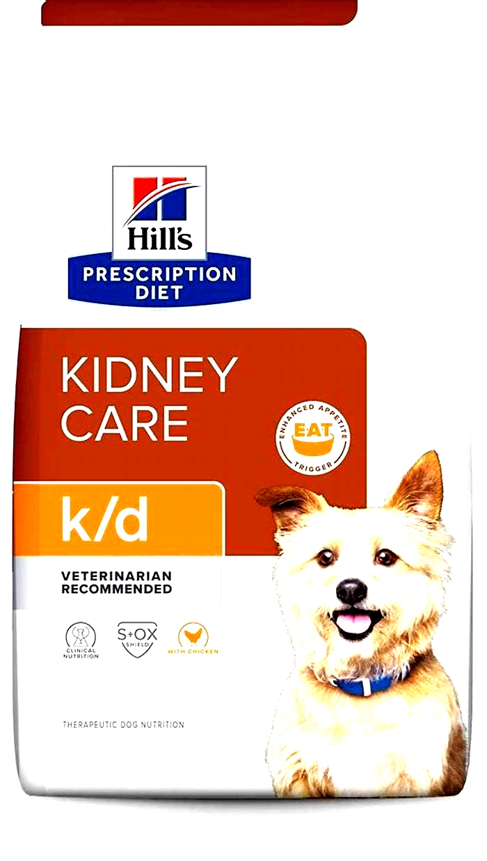 dog kidney failure food