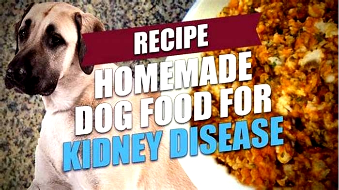 fresh food diet for dogs with kidney disease