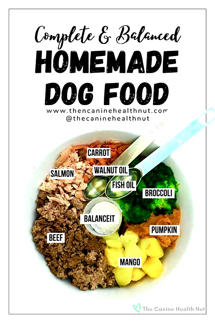 hill's homemade dog food recipes