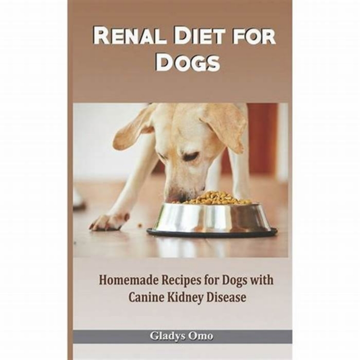 hill's homemade kidney diet for dogs