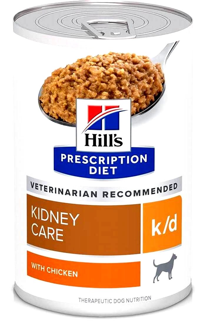 hill s prescription diet kidney care for dogs