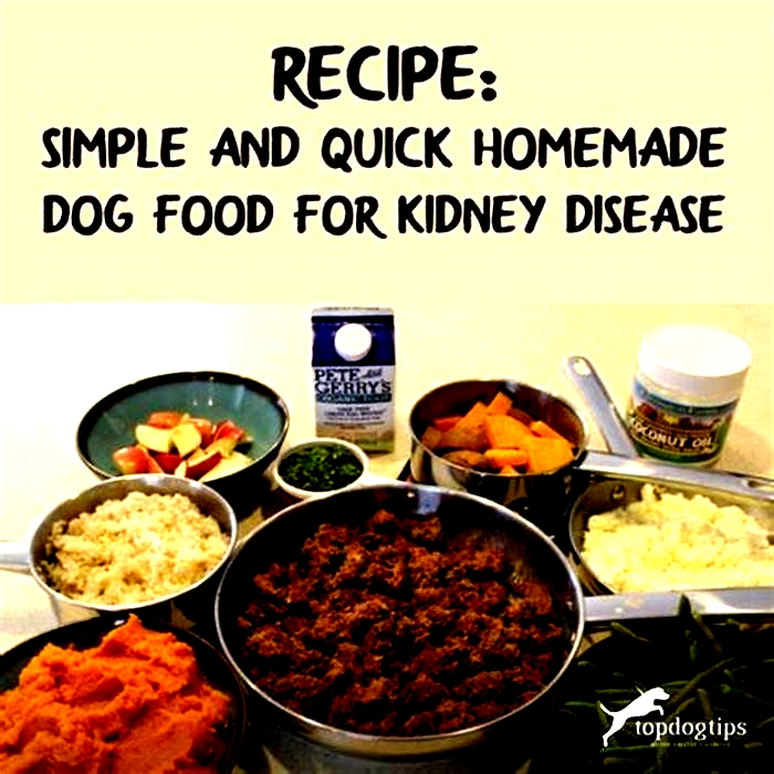 home cooked diet for dogs with kidney disease