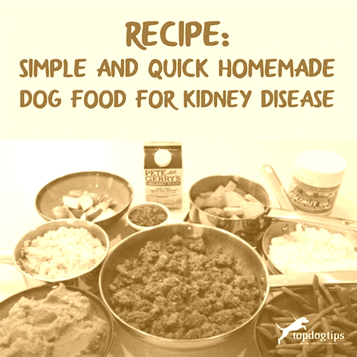 home cooked diet for kidney disease in dogs