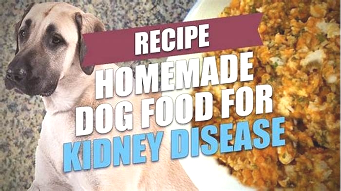 homemade diet for dog with kidney disease and pancreatitis