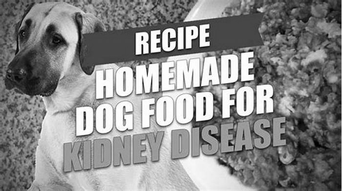 homemade diet for renal failure in dogs