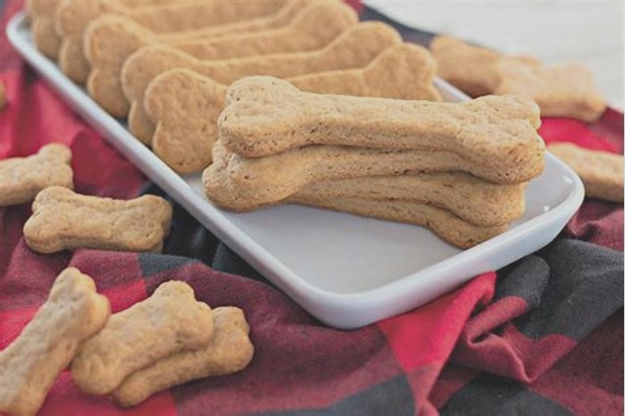 homemade kidney friendly dog treats