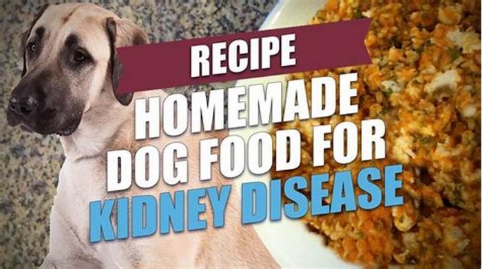 homemade renal diet for dogs uk