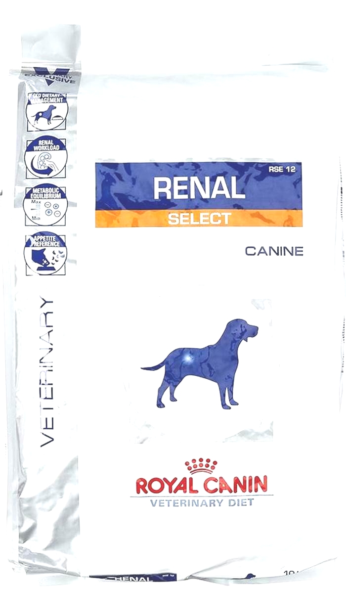 how much royal canin renal to feed my dog