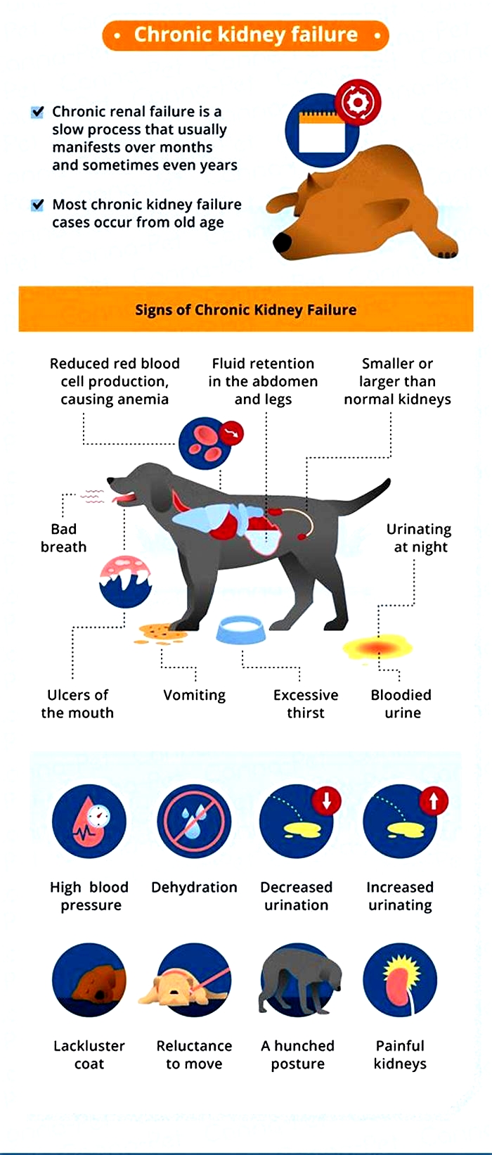 is bad breath a sign of kidney failure in dogs