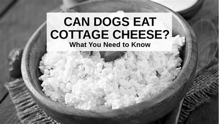 is cottage cheese good for dogs with kidney disease