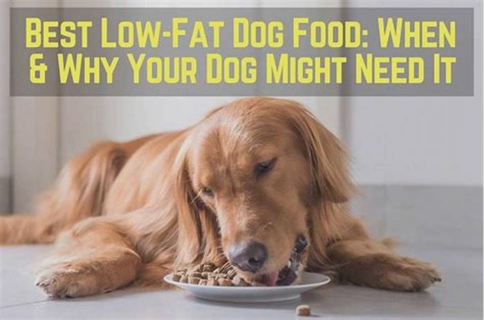 is low fat diet bad for dogs