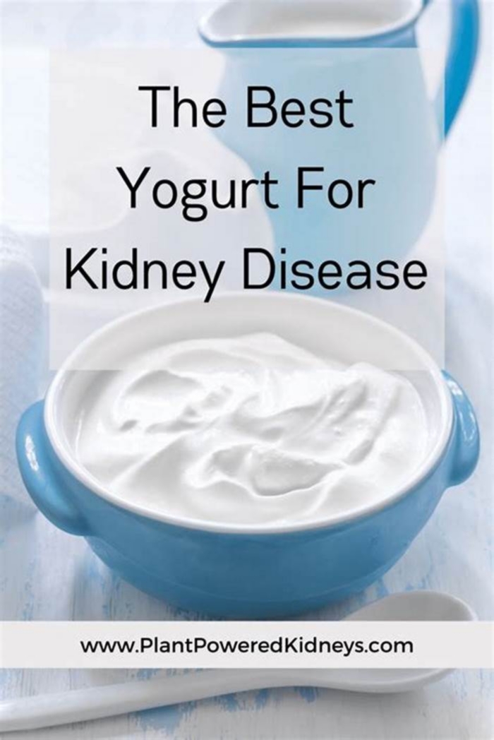 is low fat yogurt good for kidneys