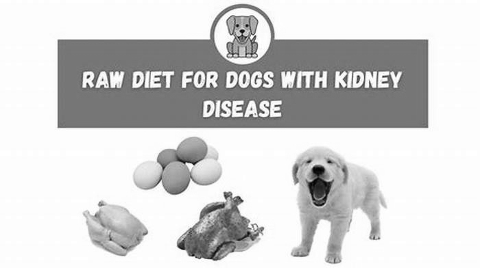 is raw diet good for dogs with kidney disease