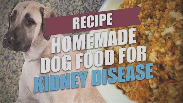 kidney diet for dogs homemade recipe