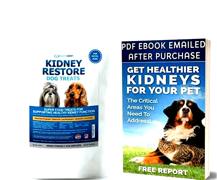 kidney diet treats for dogs