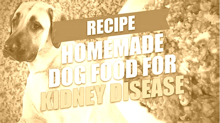 kidney disease diet recipes for dogs