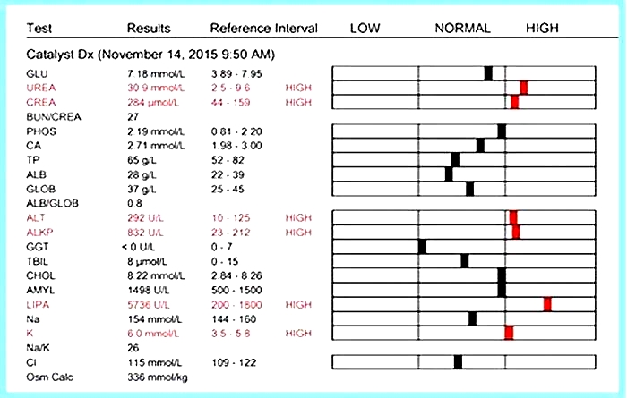 kidney disease dogs blood test