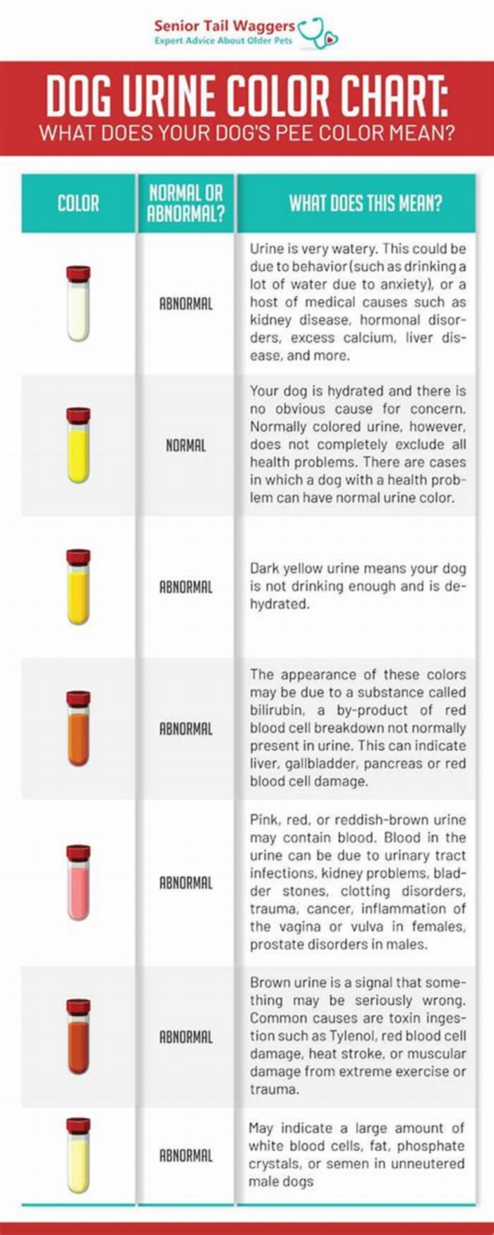 kidney failure in dogs urine color