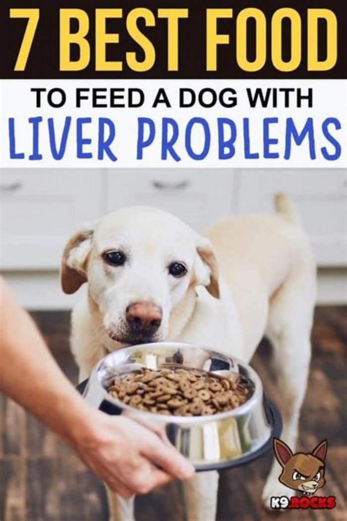 low fat diet for dogs with liver disease