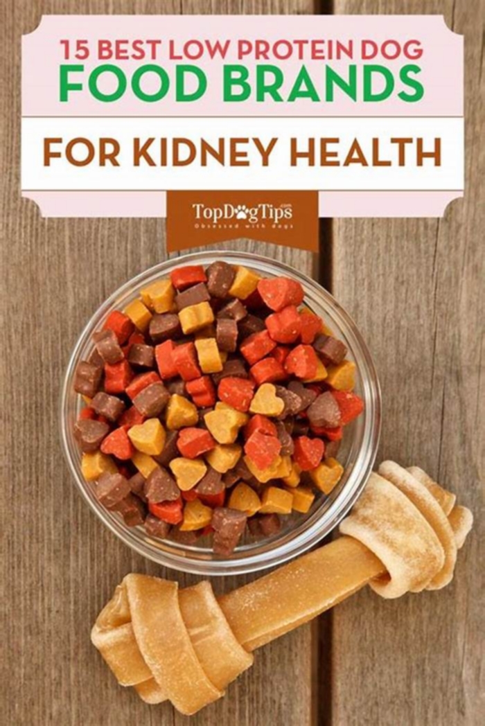 low fat renal diet dog food