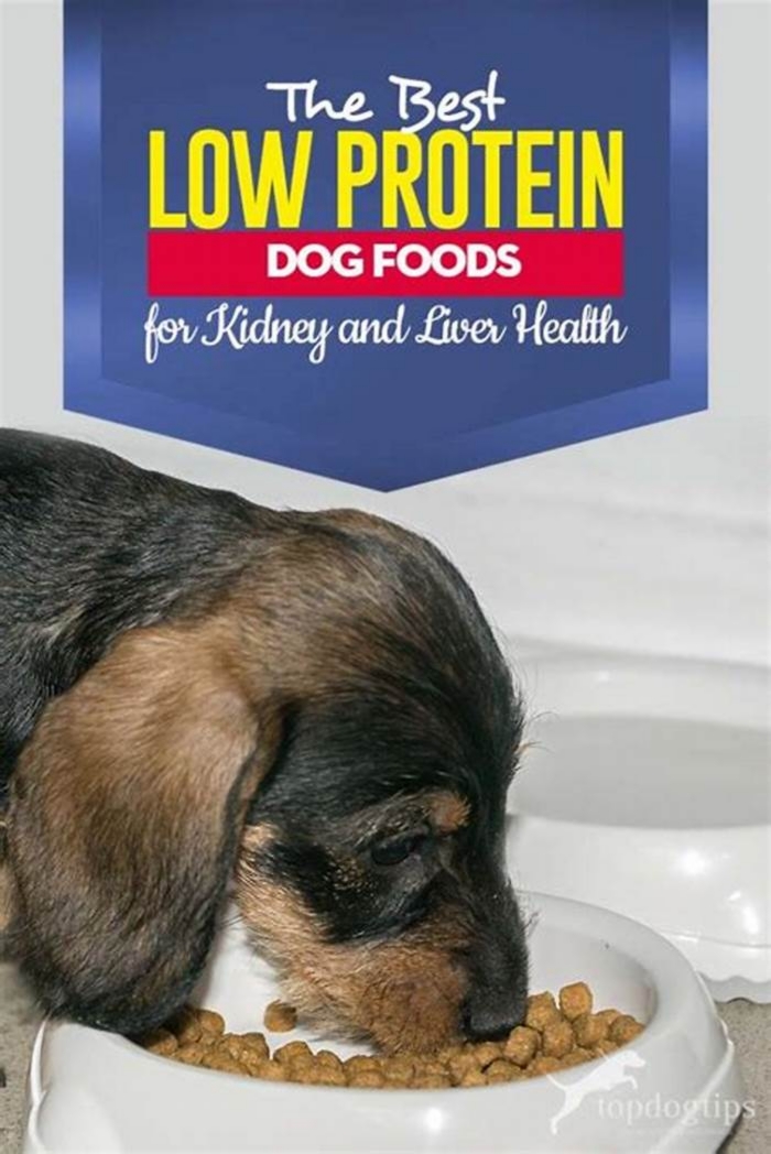 low protein diet for dogs with kidney disease