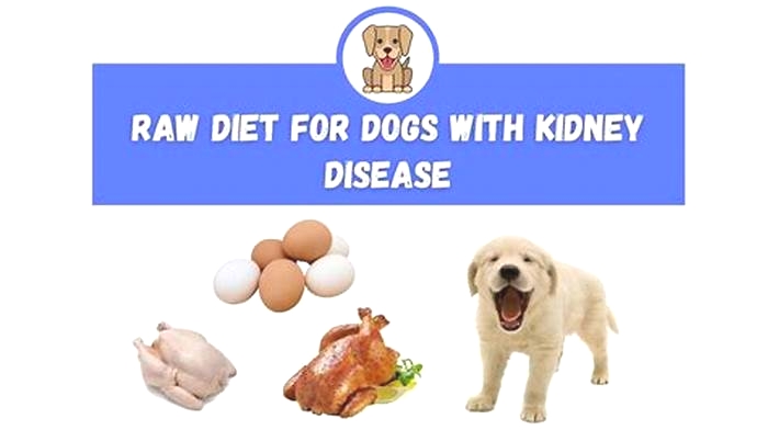 natural diet for dogs with kidney failure