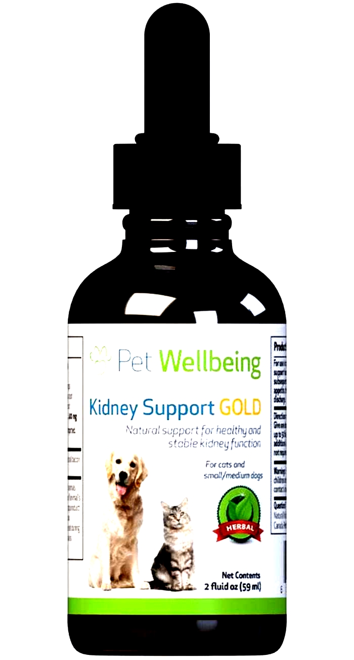 natural kidney cleanse for dogs