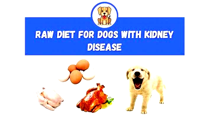 natural kidney disease diet for dogs