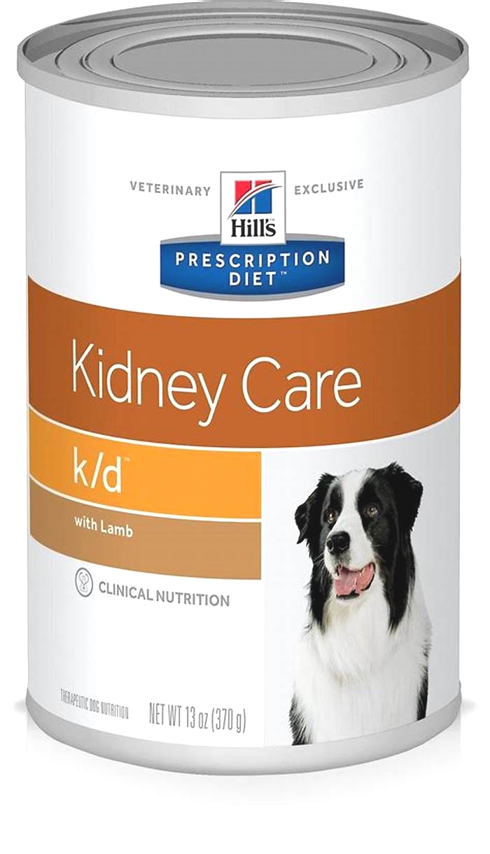 non prescription kidney diet dog food