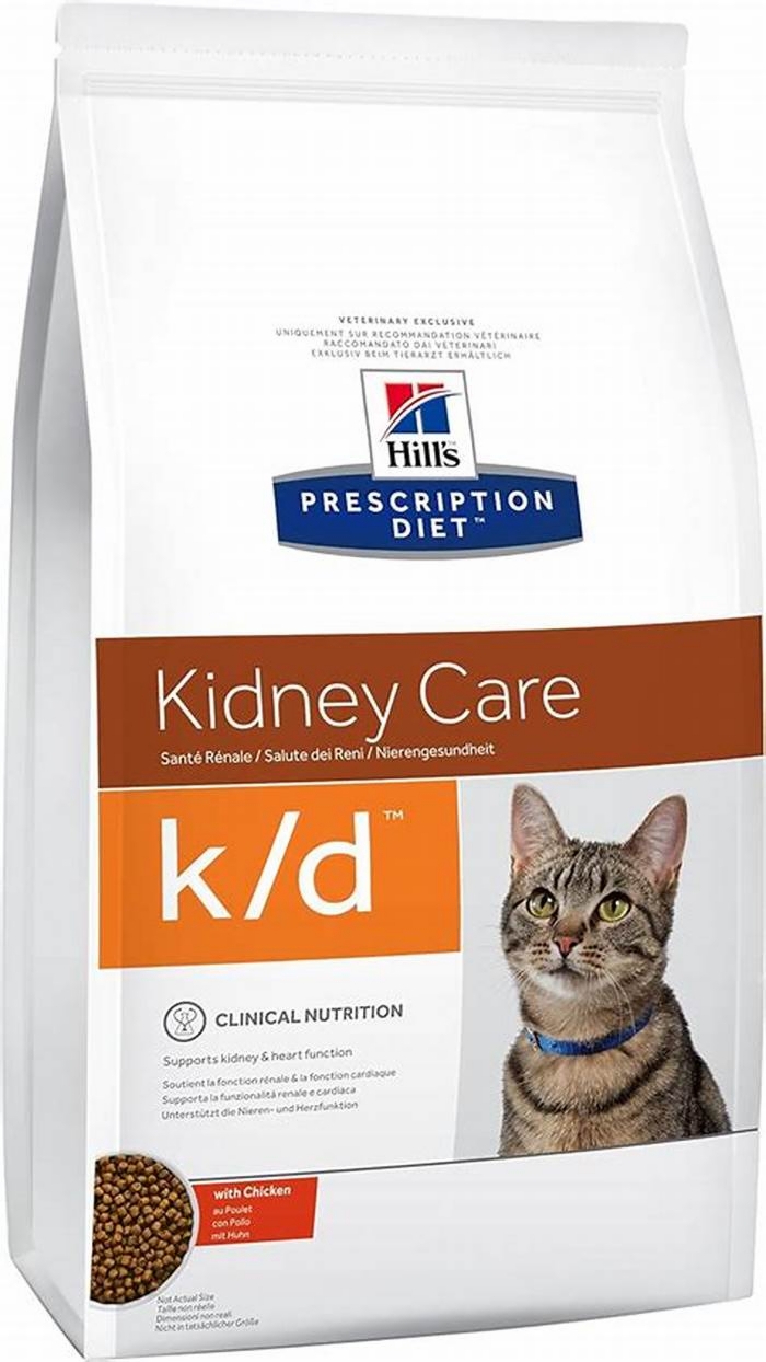 prescription kidney food for cats