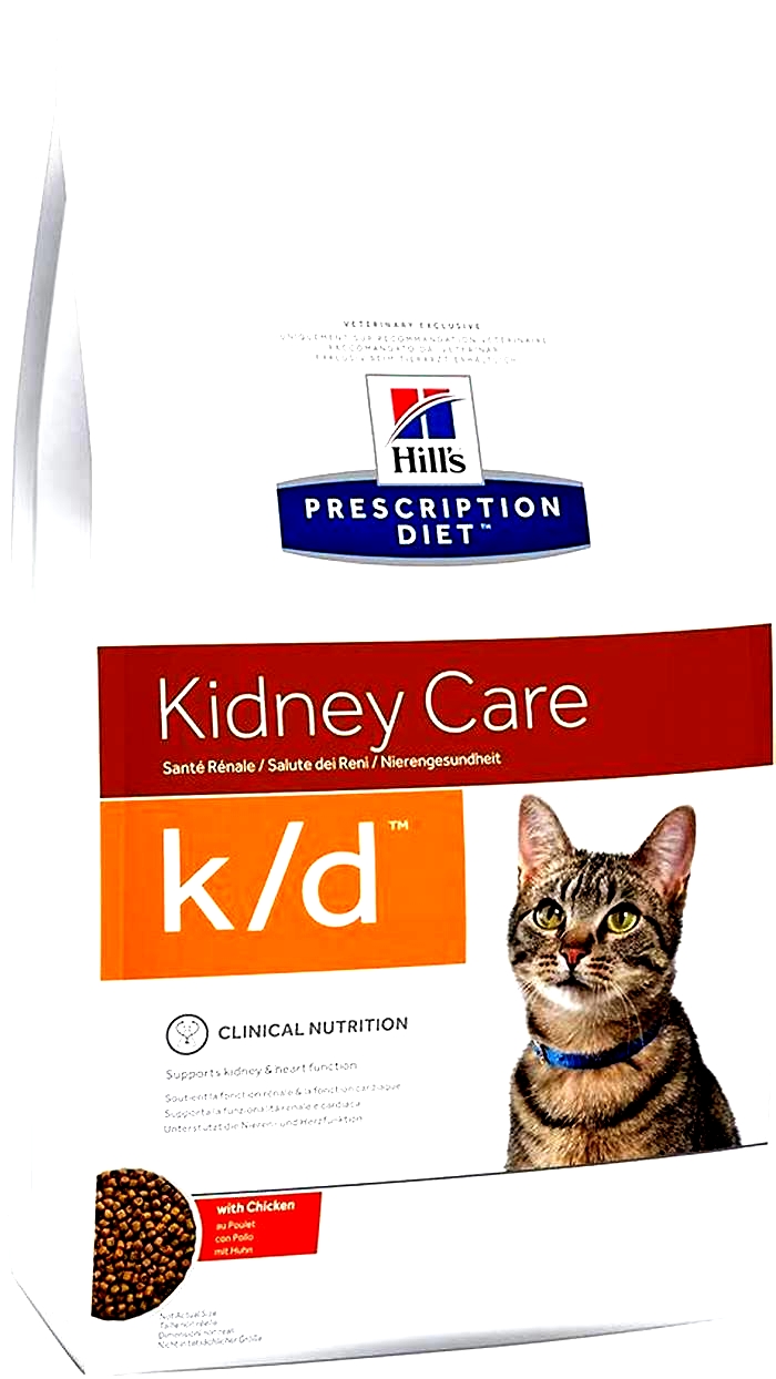 prescription renal diets for cats