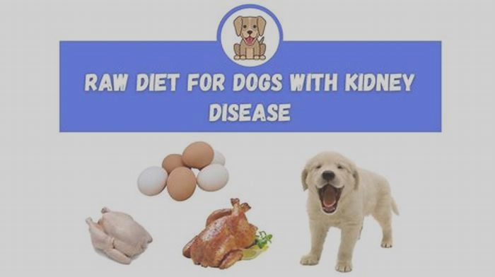 raw food diet for dog with kidney disease