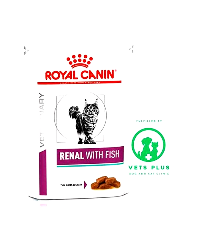 royal canin kidney diet for cats