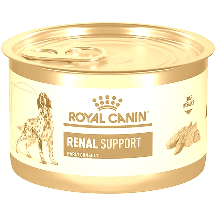 royal canin kidney diet wet dog food