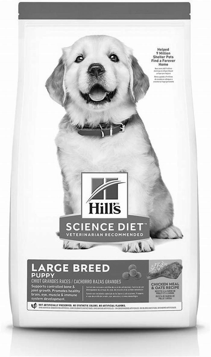 science diet large breed puppy